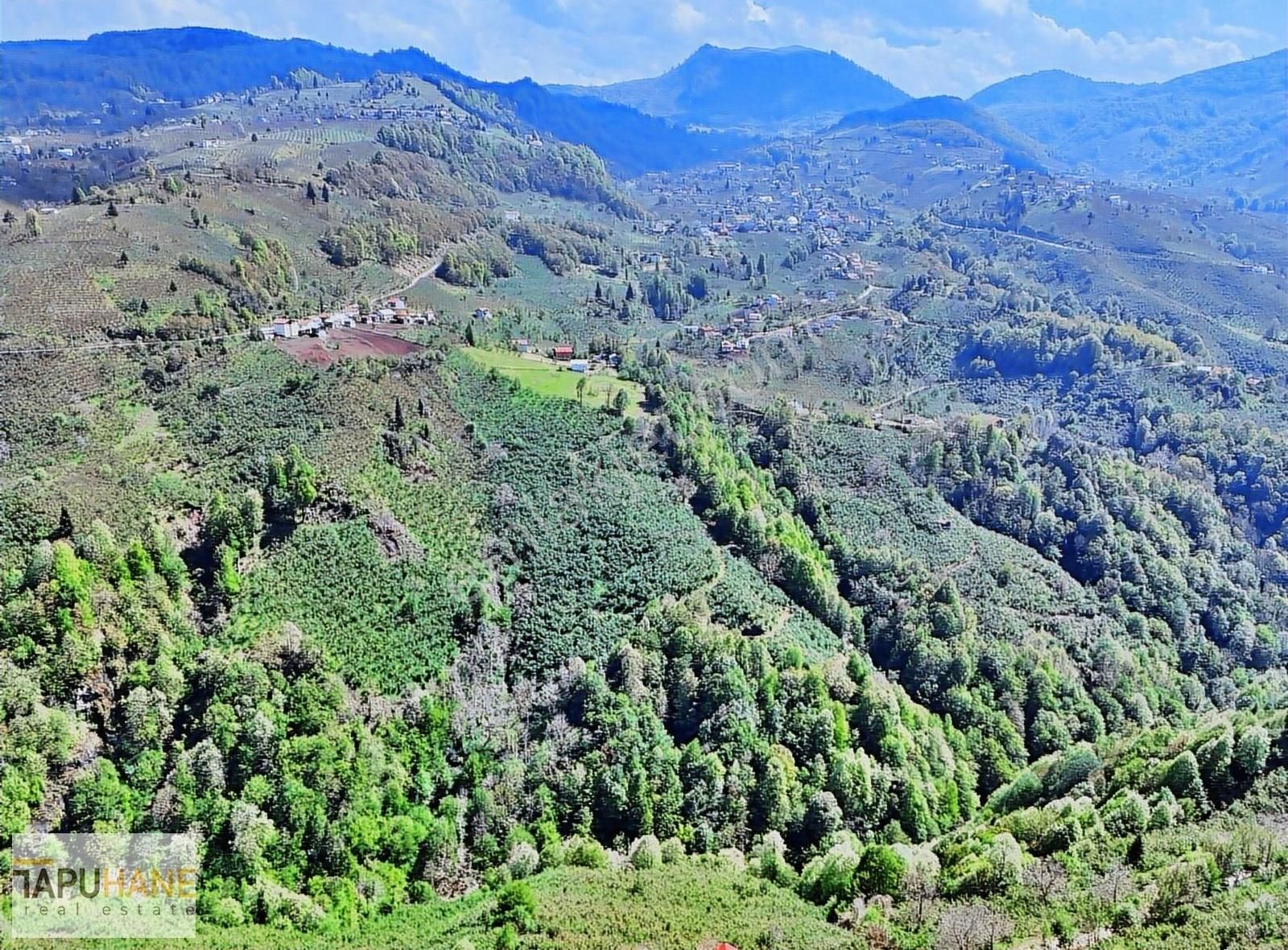 Tapuhane`den Güney Mahallesinde 6,543m2 Satılık Fıkdık Bahçesi - Görsel 5