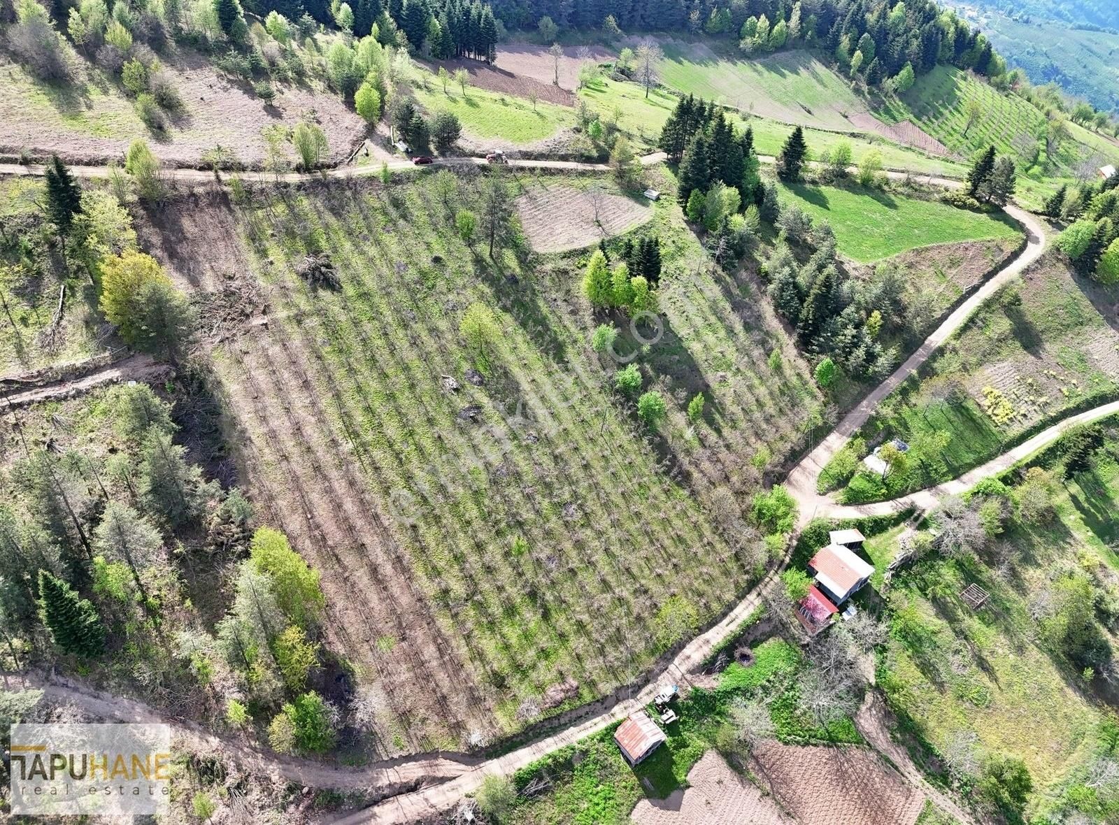 Tapuhane`den Dikmen Mahallesinde 7,863m2 Satılık Arsamız - Görsel 8