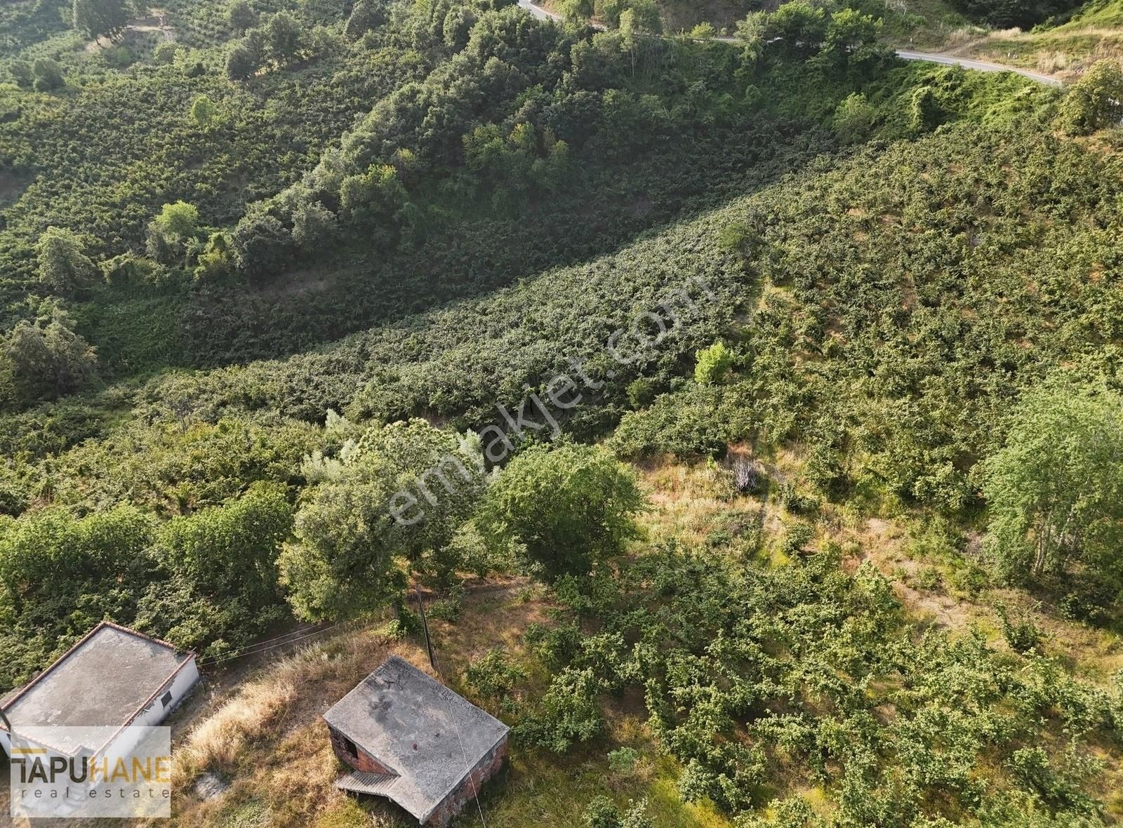 Tapuhane'den Bayraktepe Yolunda 1.560 M2 Satılık Arsa - Görsel 20