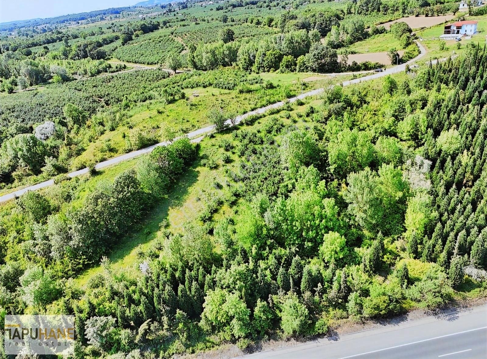 Tapuhane`den İkbaliyede 4,046m2 Satılık Fındık Bahçesi - Görsel 3