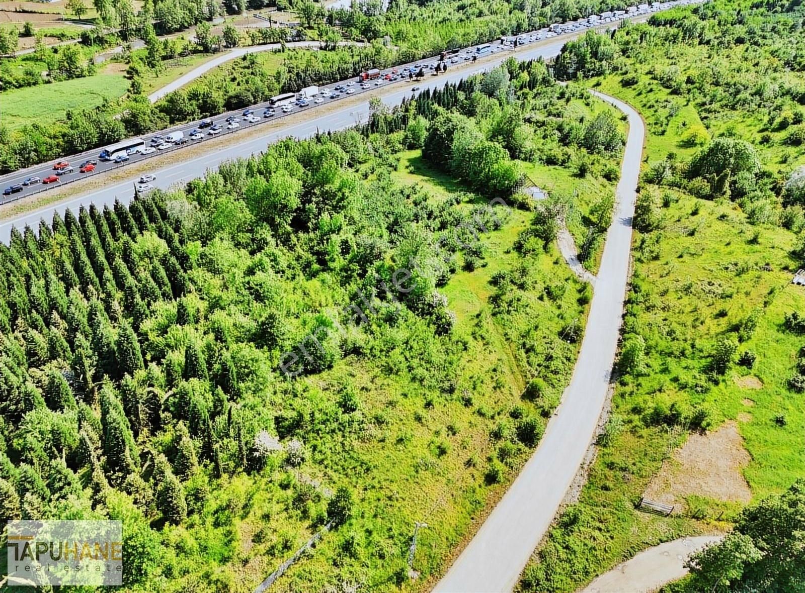 Tapuhane`den İkbaliyede 4,046m2 Satılık Fındık Bahçesi - Görsel 5