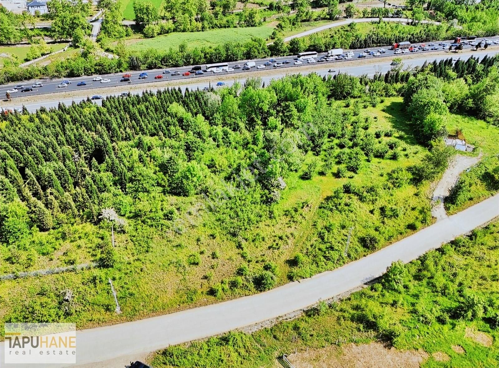Tapuhane`den İkbaliyede 4,046m2 Satılık Fındık Bahçesi - Görsel 9