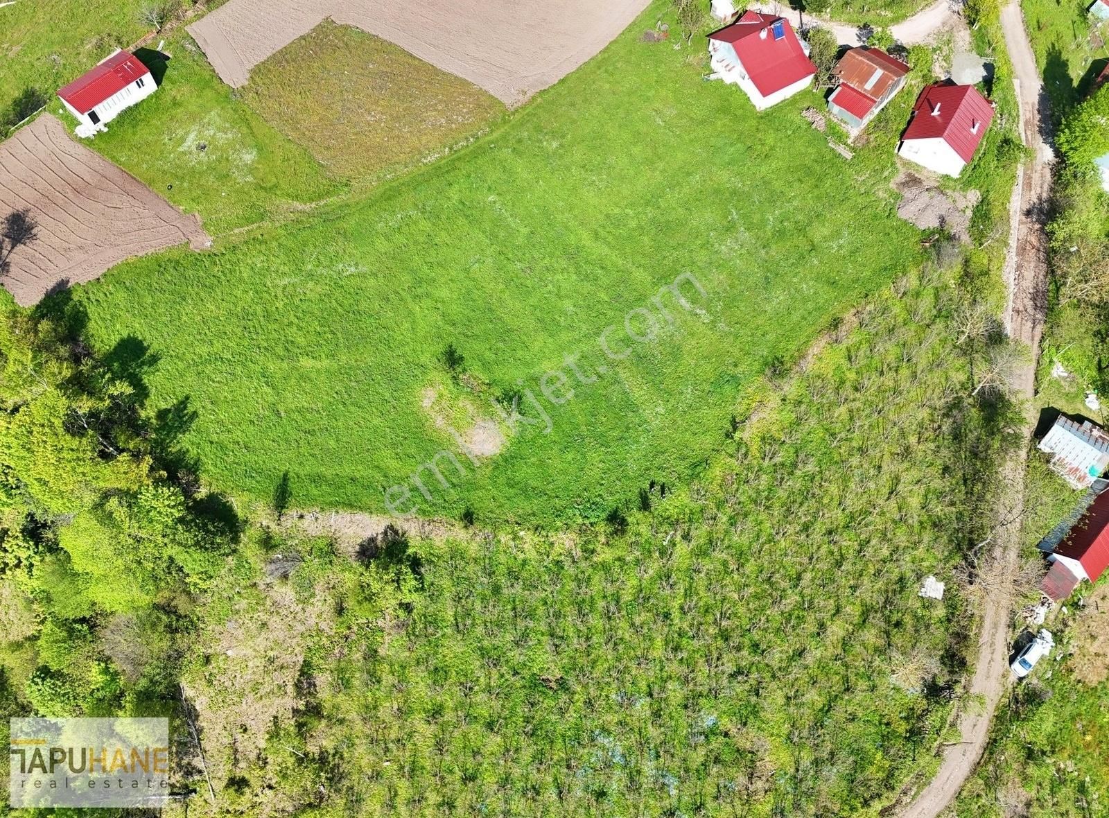Tapuhane`den Dikmen Mahallesinde 4.103m2 Satılık Arsamız - Görsel 9