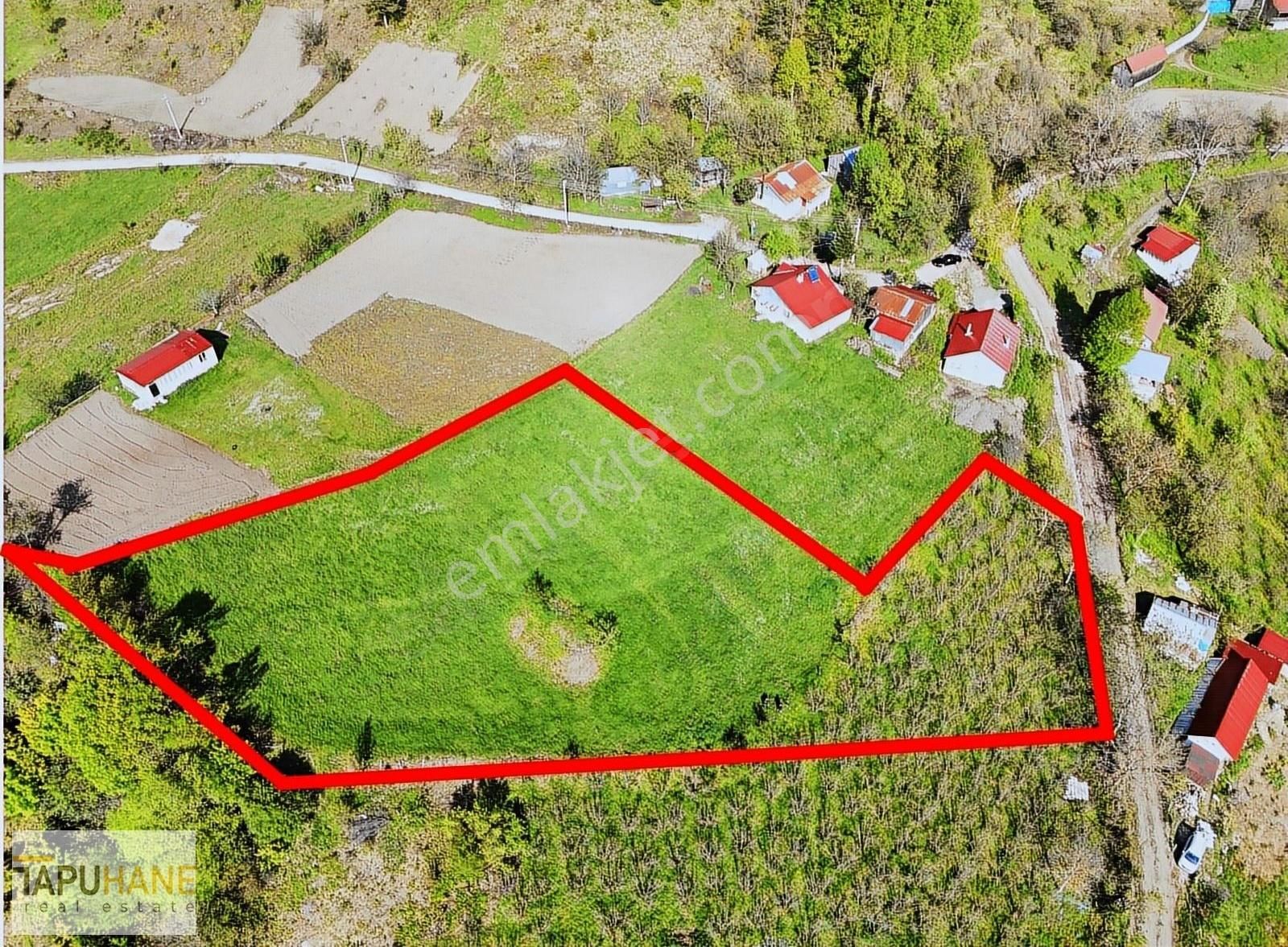 Tapuhane`den Dikmen Mahallesinde 4.103m2 Satılık Arsamız - Görsel 11