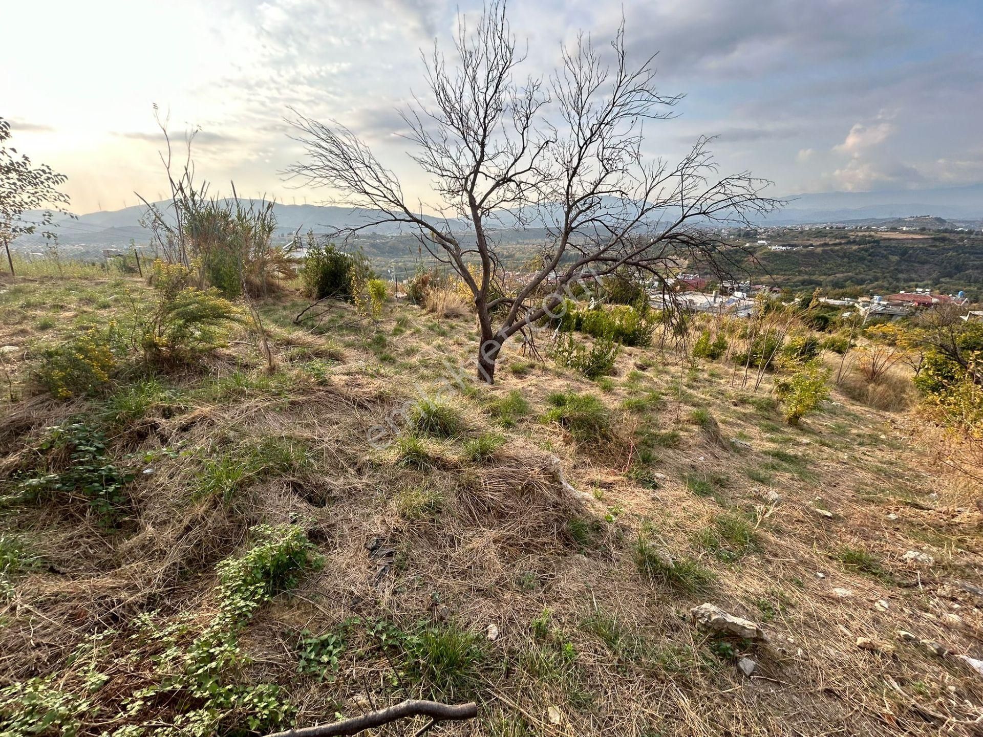 Sahibinden Arsa Bodrum+2 Kat İmarlı-ifrazlı 808m2