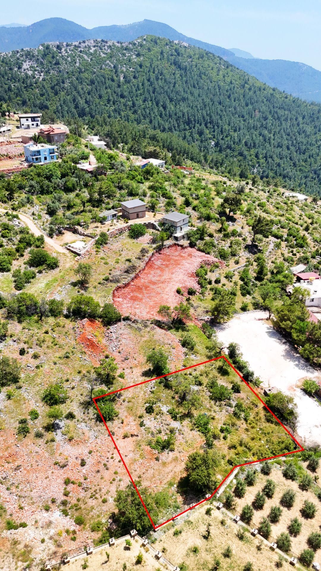 Alanya Bademağacı Satılık Tarla Köy Yerleşim Alanında - Görsel 4