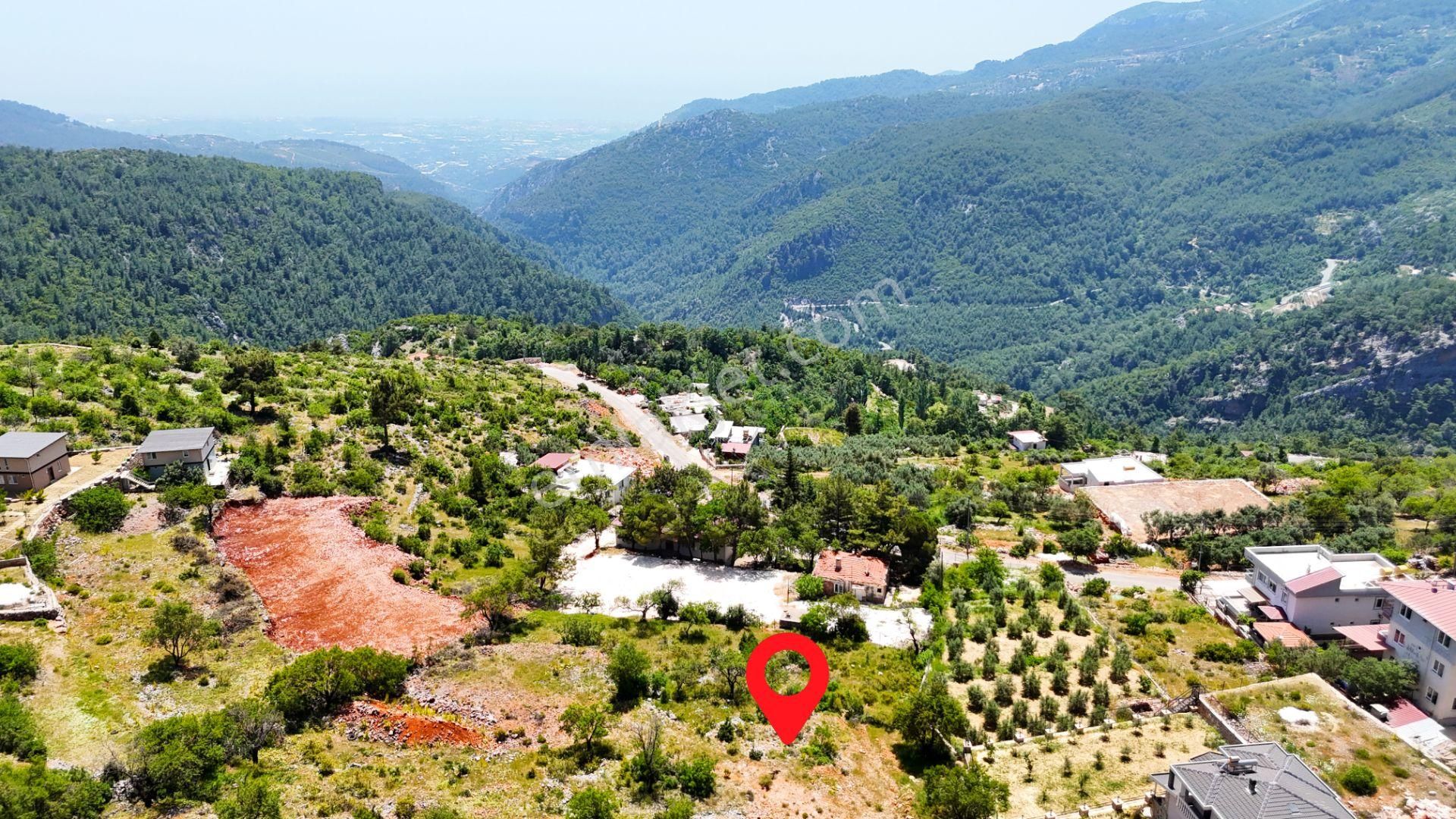 Alanya Bademağacı Satılık Tarla Köy Yerleşim Alanında