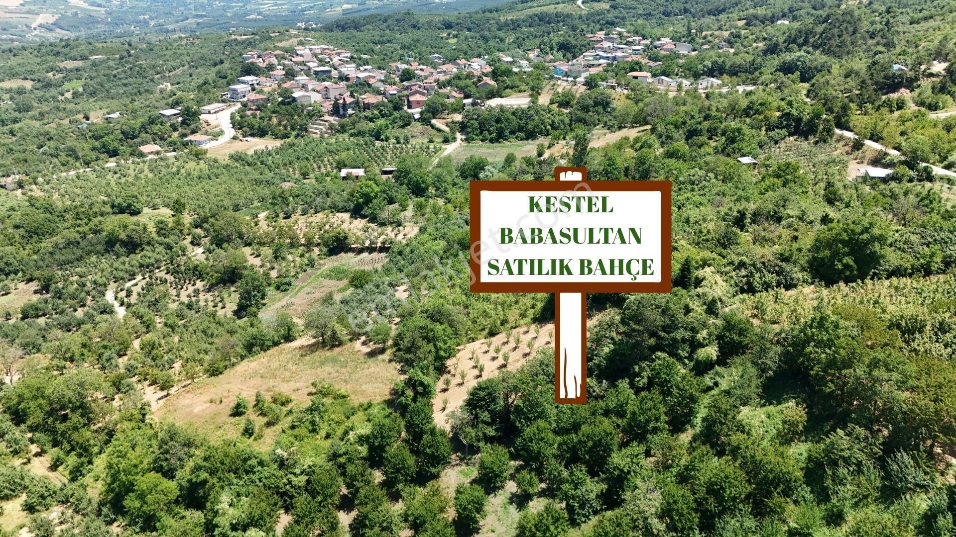 Kestel Babasultan Ana Asfalta 1 Parsel 810 M2 Arsa