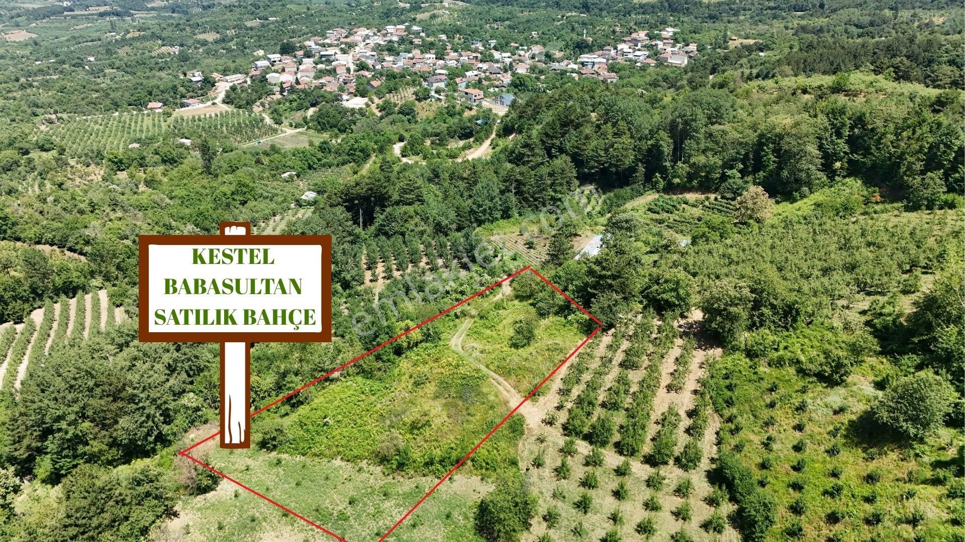 Kestel Babasultan Müthiş Manzaralı Köyün En Uygun Fiyatlı Arsası
