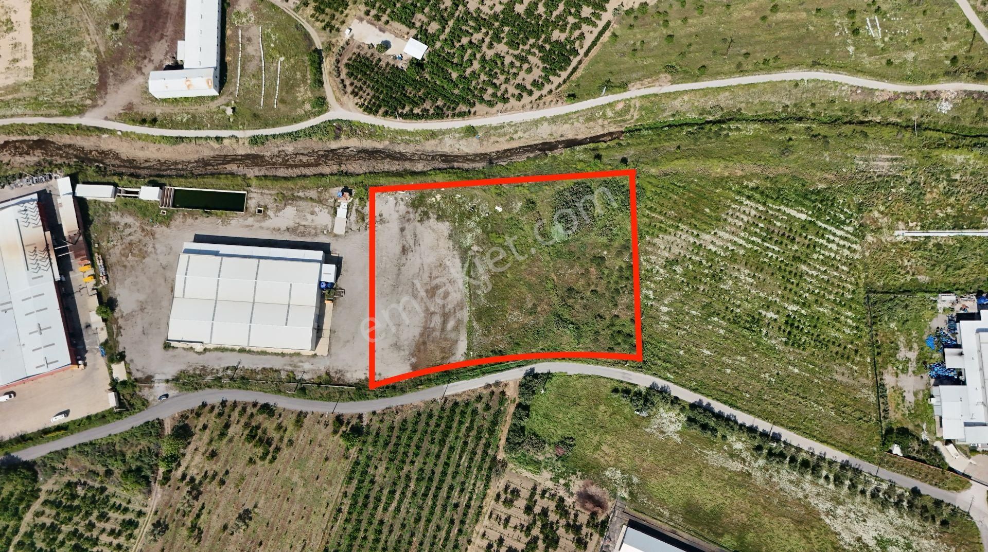 Kemalpaşa Bağyurdunda Tarımsal İmalata Uygun Sanayi İmarlı Arsa