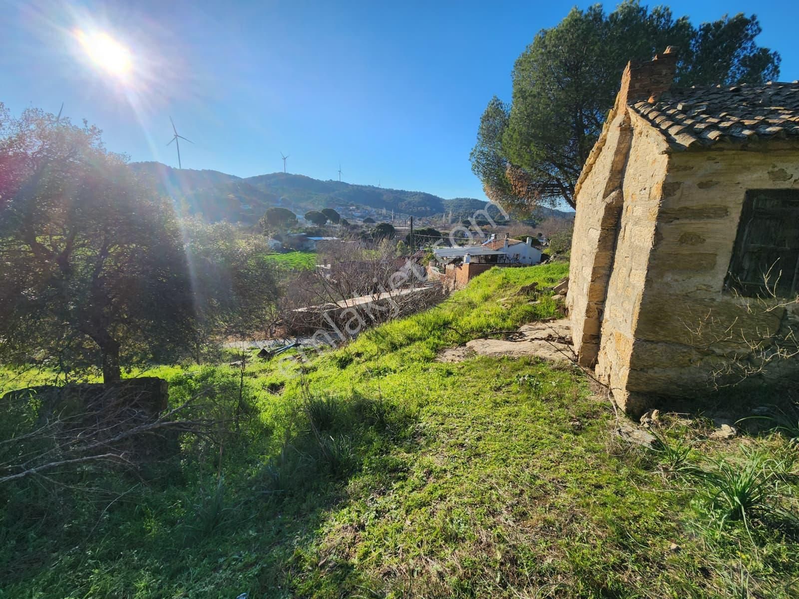 Aydın Söke Yeşilköyde İçinde Eski Taş Ev Olan Satılık Arsa - Görsel 21