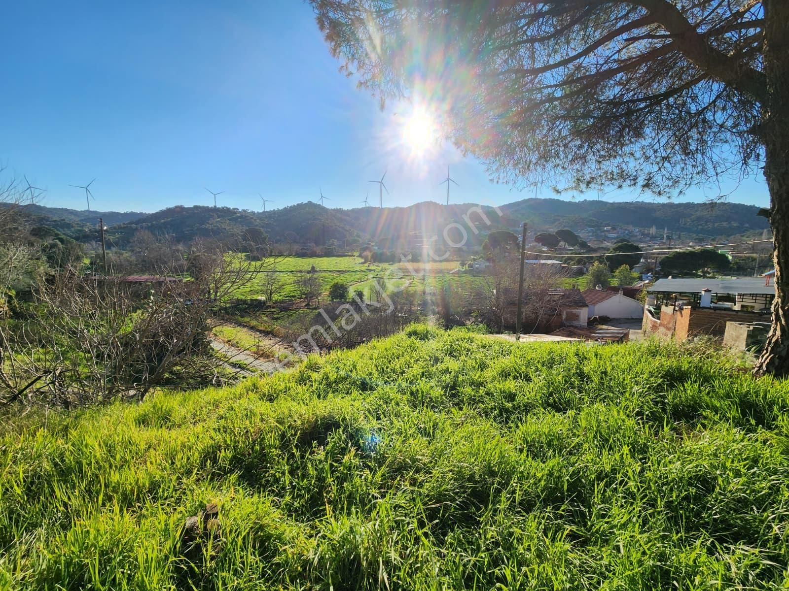 Aydın Söke Yeşilköyde İçinde Eski Taş Ev Olan Satılık Arsa - Görsel 16