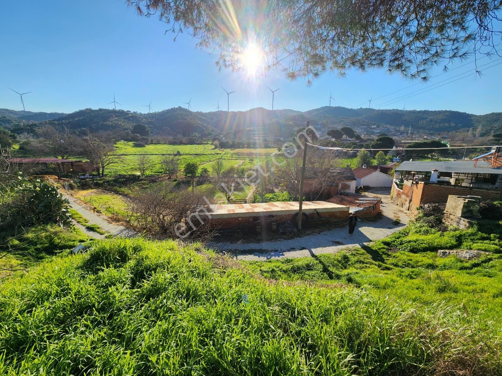 Aydın Söke Yeşilköyde İçinde Eski Taş Ev Olan Satılık Arsa - Görsel 24