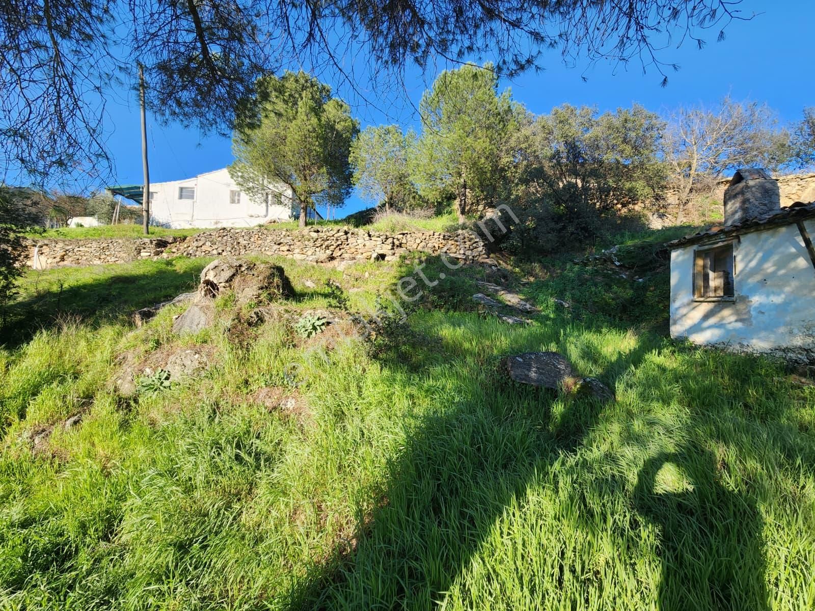 Aydın Söke Yeşilköyde İçinde Eski Taş Ev Olan Satılık Arsa - Görsel 27