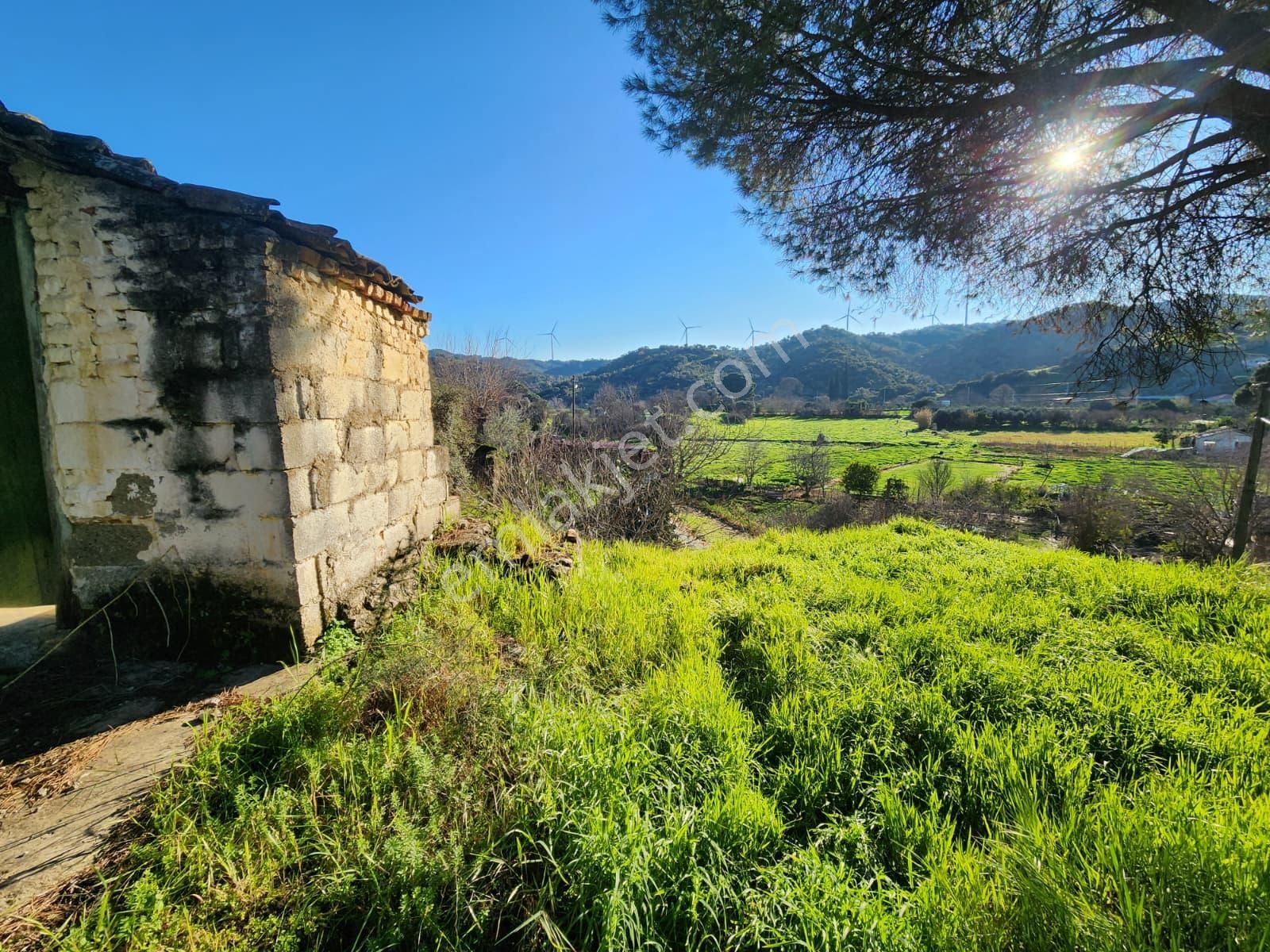 Aydın Söke Yeşilköyde İçinde Eski Taş Ev Olan Satılık Arsa - Görsel 18