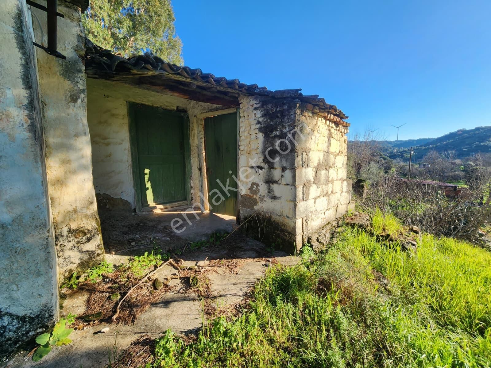 Aydın Söke Yeşilköyde İçinde Eski Taş Ev Olan Satılık Arsa - Görsel 19