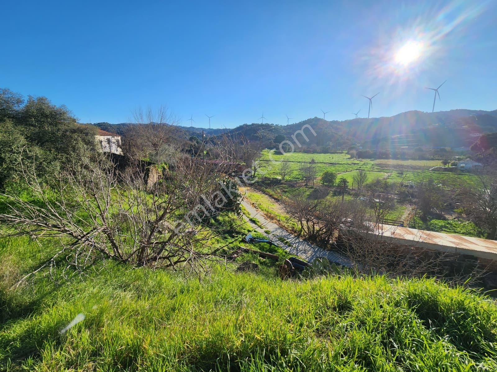 Aydın Söke Yeşilköyde İçinde Eski Taş Ev Olan Satılık Arsa - Görsel 22