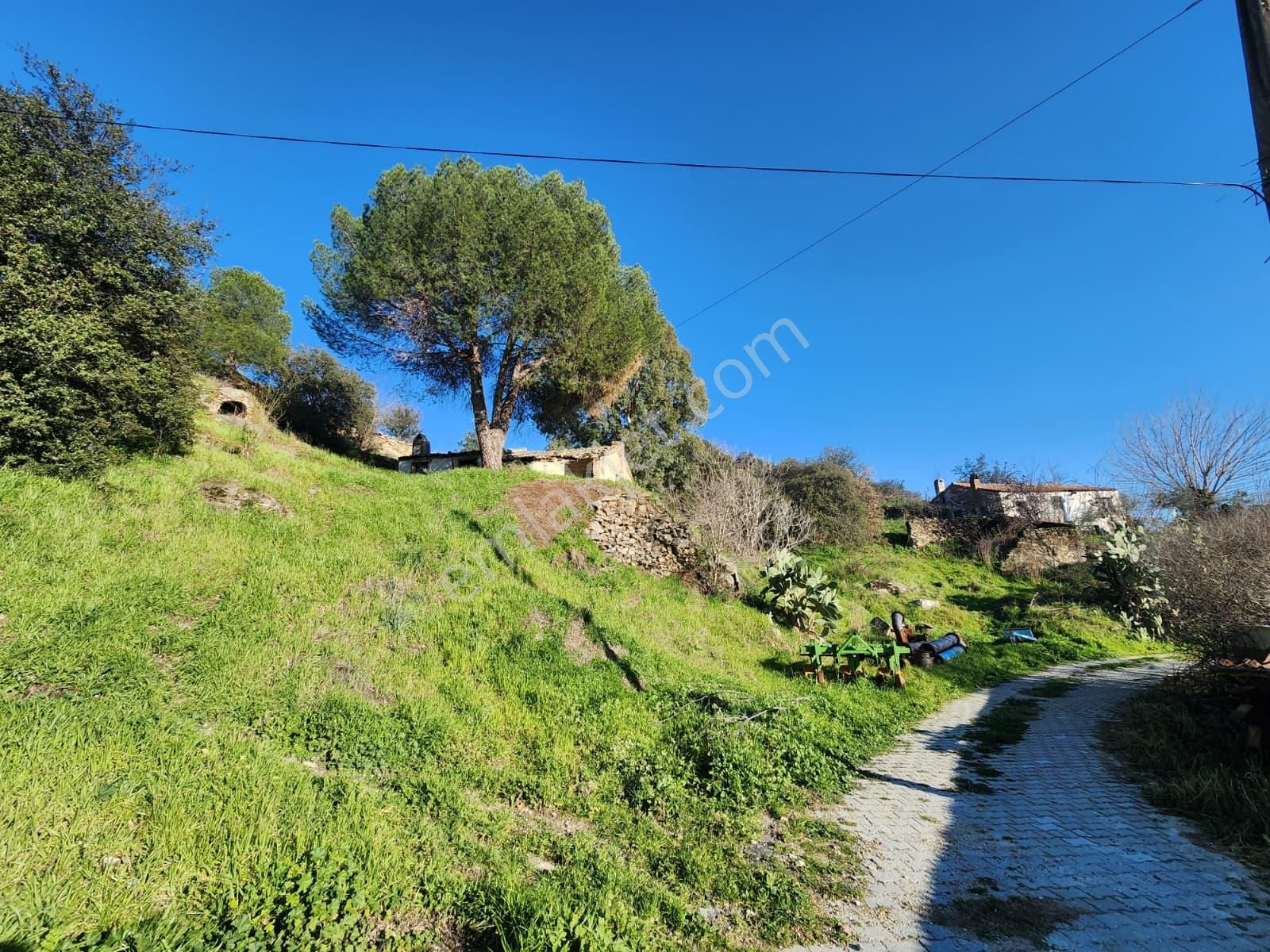 Aydın Söke Yeşilköyde İçinde Eski Taş Ev Olan Satılık Arsa - Görsel 29