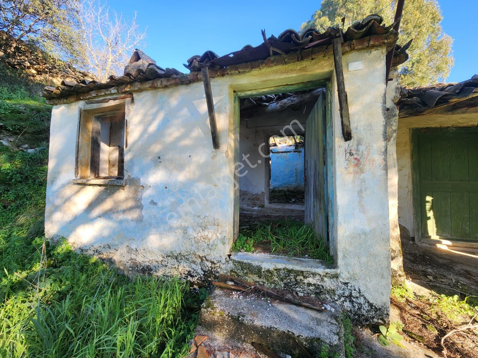 Aydın Söke Yeşilköyde İçinde Eski Taş Ev Olan Satılık Arsa - Görsel 20