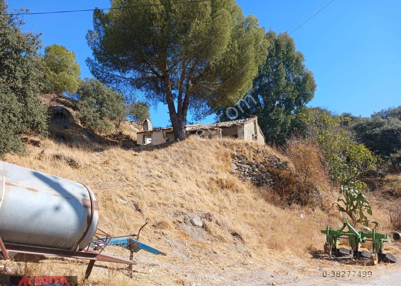 Aydın Söke Yeşilköyde İçinde Eski Taş Ev Olan Satılık Arsa - Görsel 5