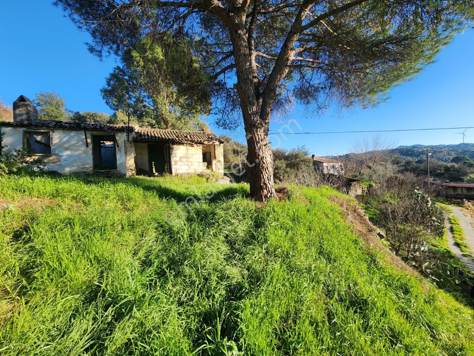 Aydın Söke Yeşilköyde İçinde Eski Taş Ev Olan Satılık Arsa - Görsel 13