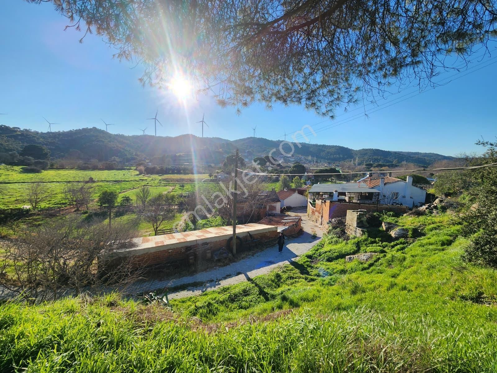 Aydın Söke Yeşilköyde İçinde Eski Taş Ev Olan Satılık Arsa - Görsel 26