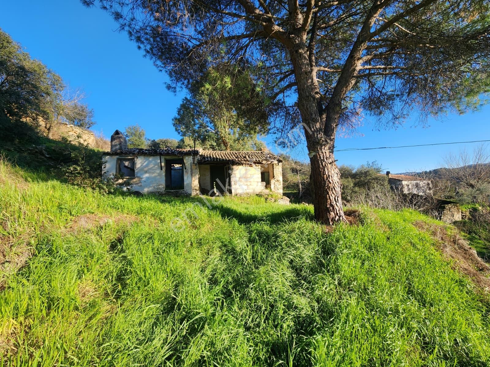 Aydın Söke Yeşilköyde İçinde Eski Taş Ev Olan Satılık Arsa - Görsel 14