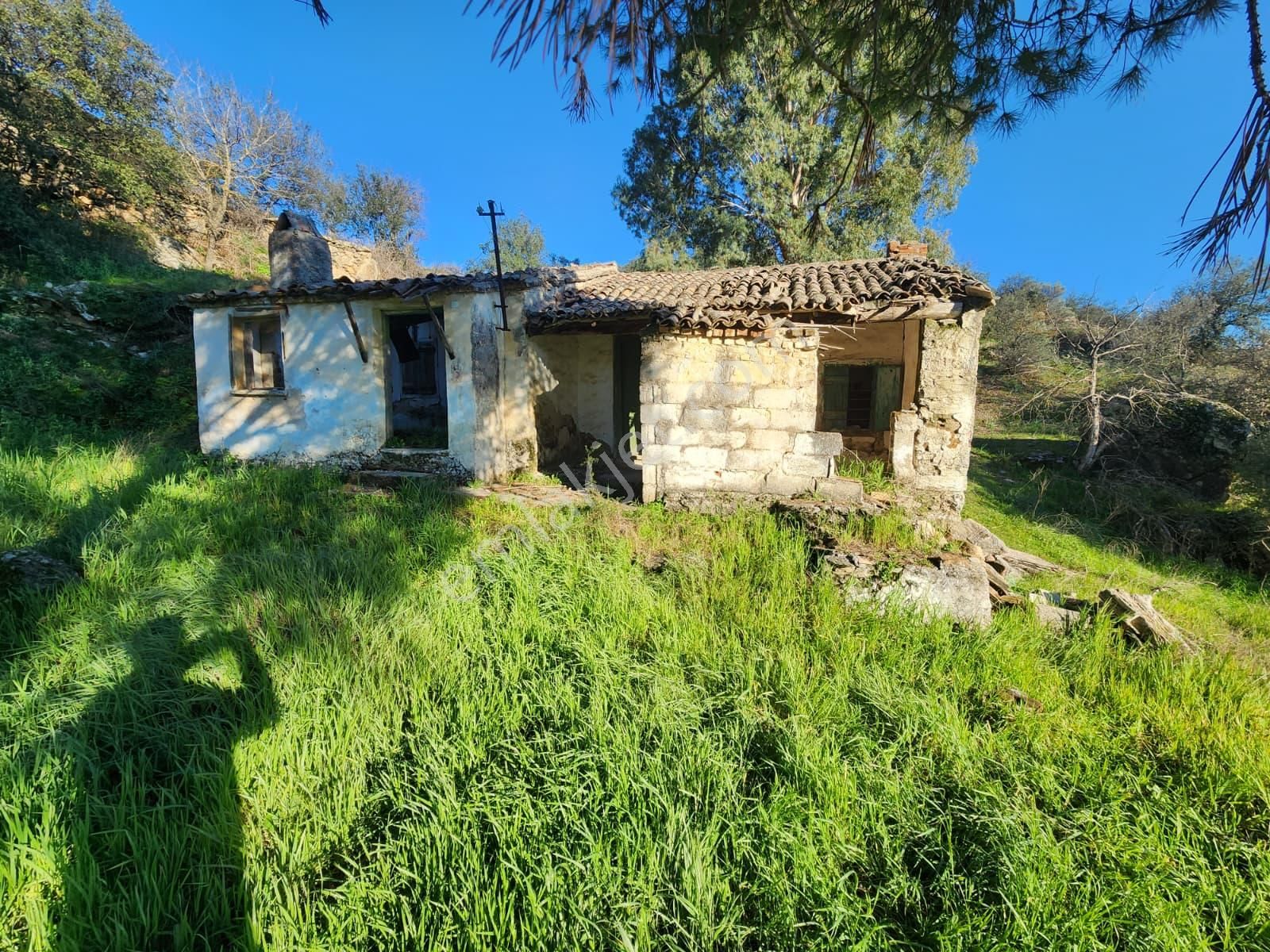 Aydın Söke Yeşilköyde İçinde Eski Taş Ev Olan Satılık Arsa - Görsel 25