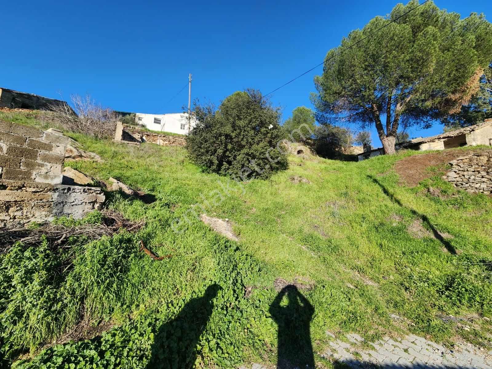 Aydın Söke Yeşilköyde İçinde Eski Taş Ev Olan Satılık Arsa - Görsel 30