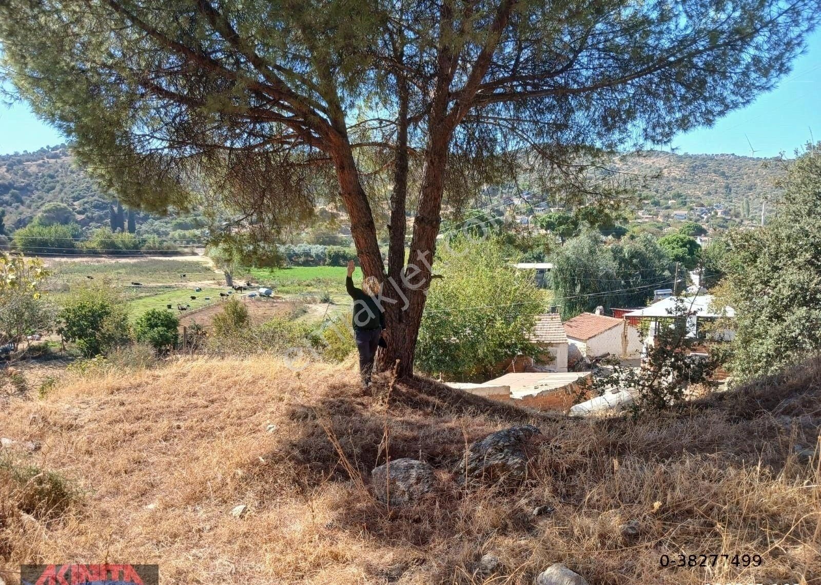 Aydın Söke Yeşilköyde İçinde Eski Taş Ev Olan Satılık Arsa - Görsel 11