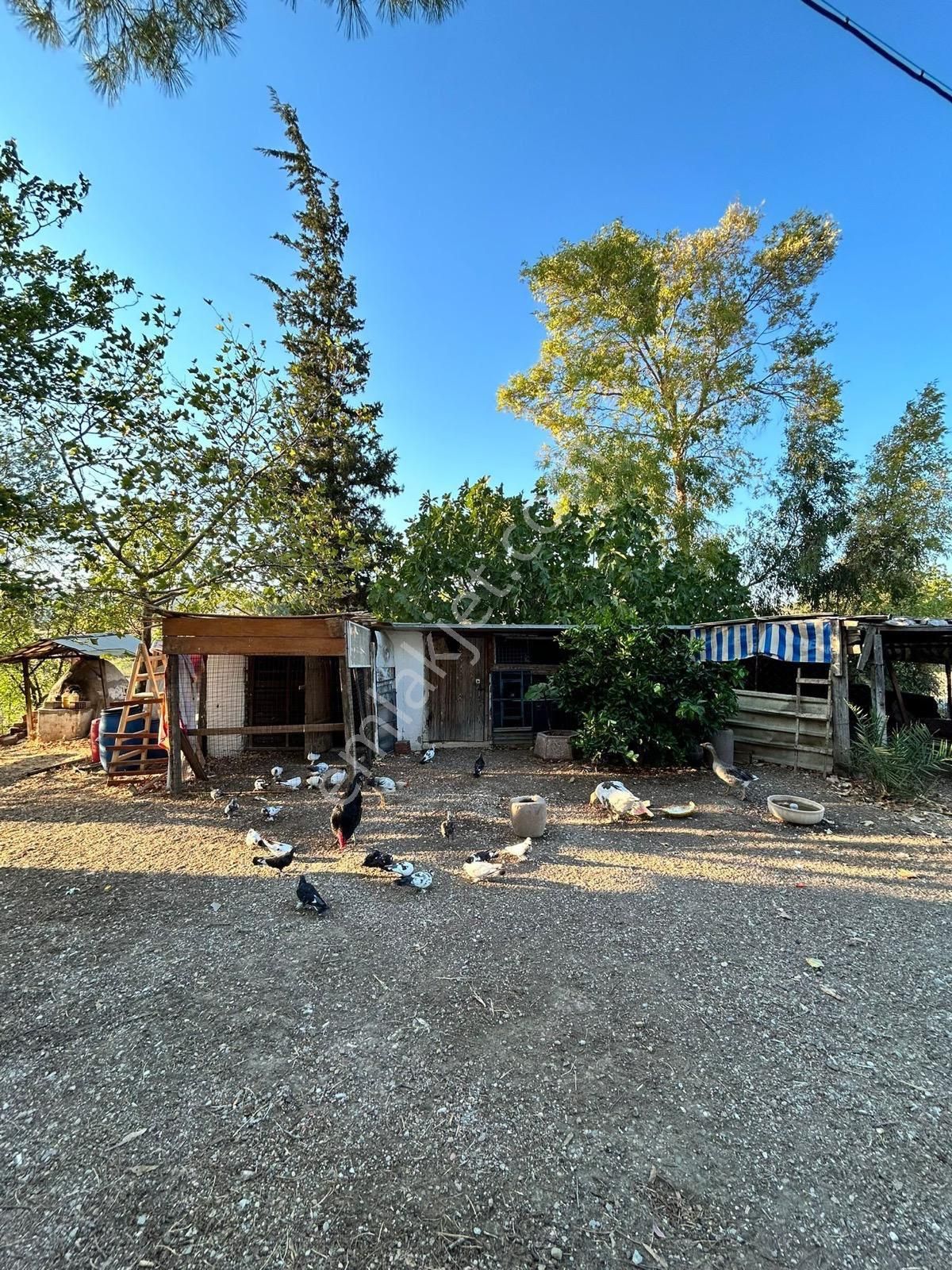 Üçpınar Kocakır Mevkiyi Satılık Çiftlik - Görsel 11