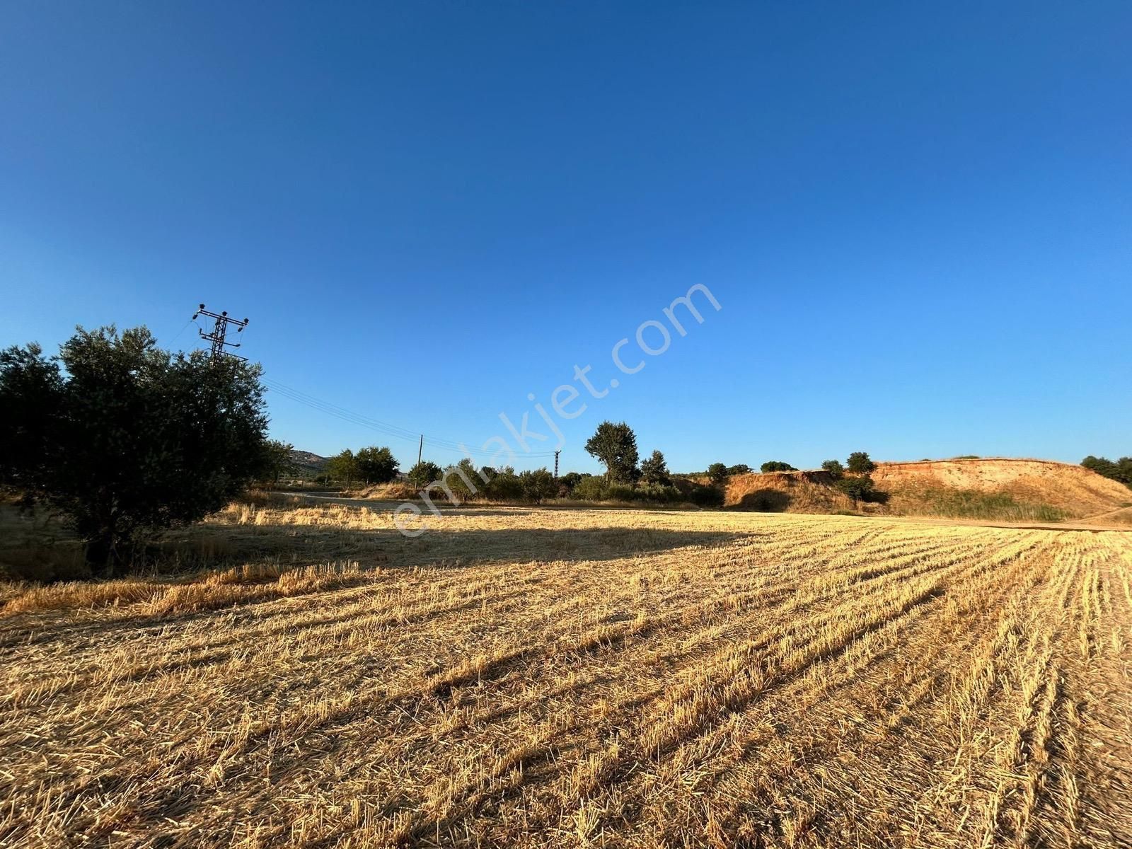 Üçpınar Kocakır Mevkiyi Satılık Çiftlik - Görsel 9