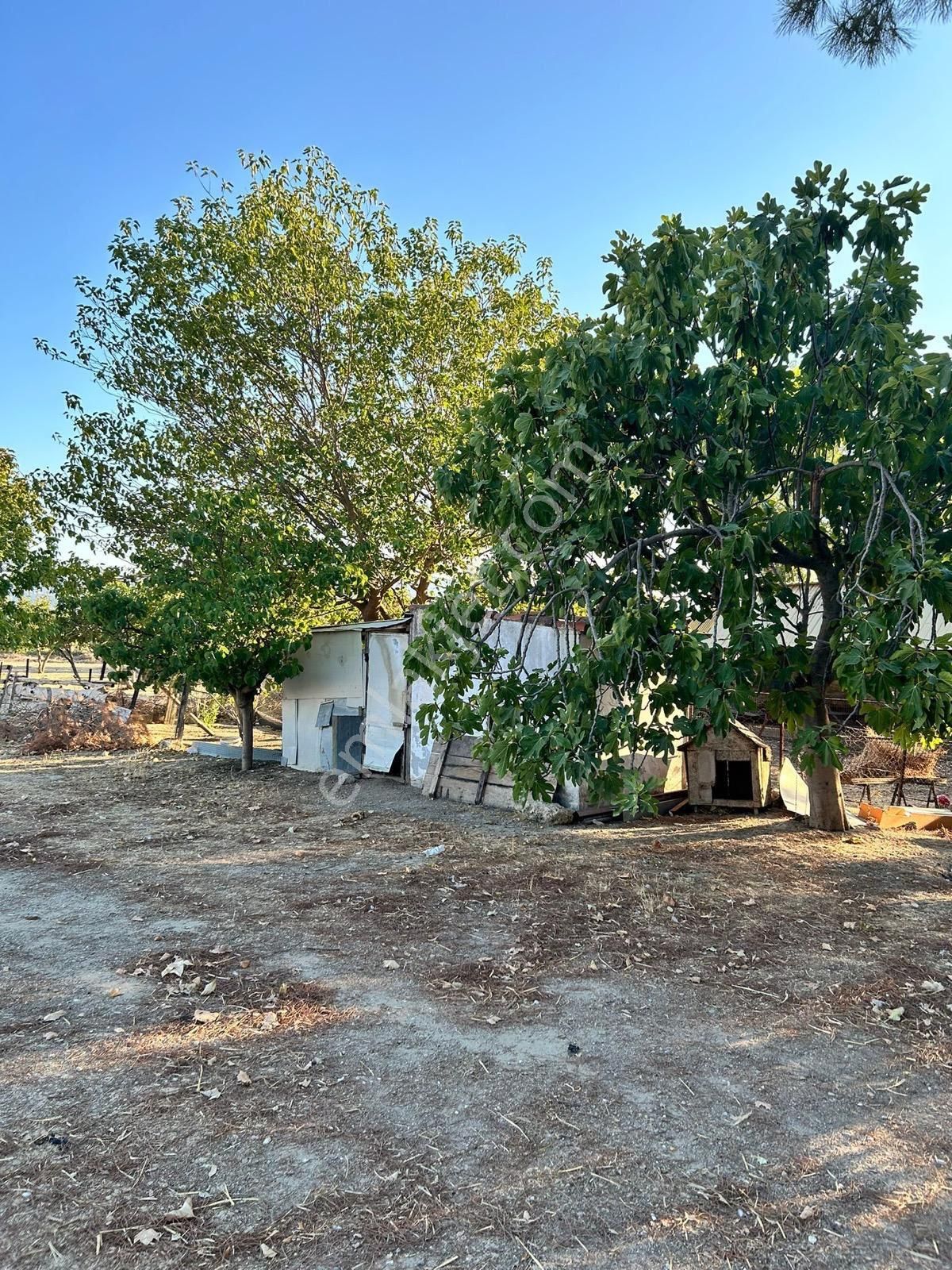 Üçpınar Kocakır Mevkiyi Satılık Çiftlik - Görsel 3