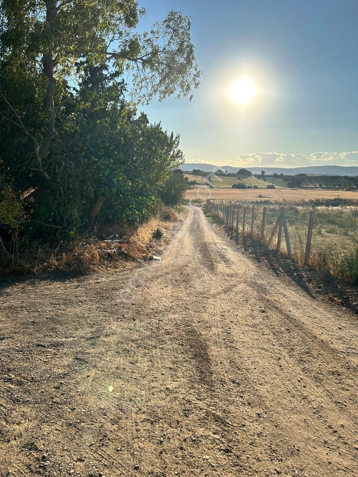 Üçpınar Kocakır Mevkiyi Satılık Çiftlik - Görsel 14