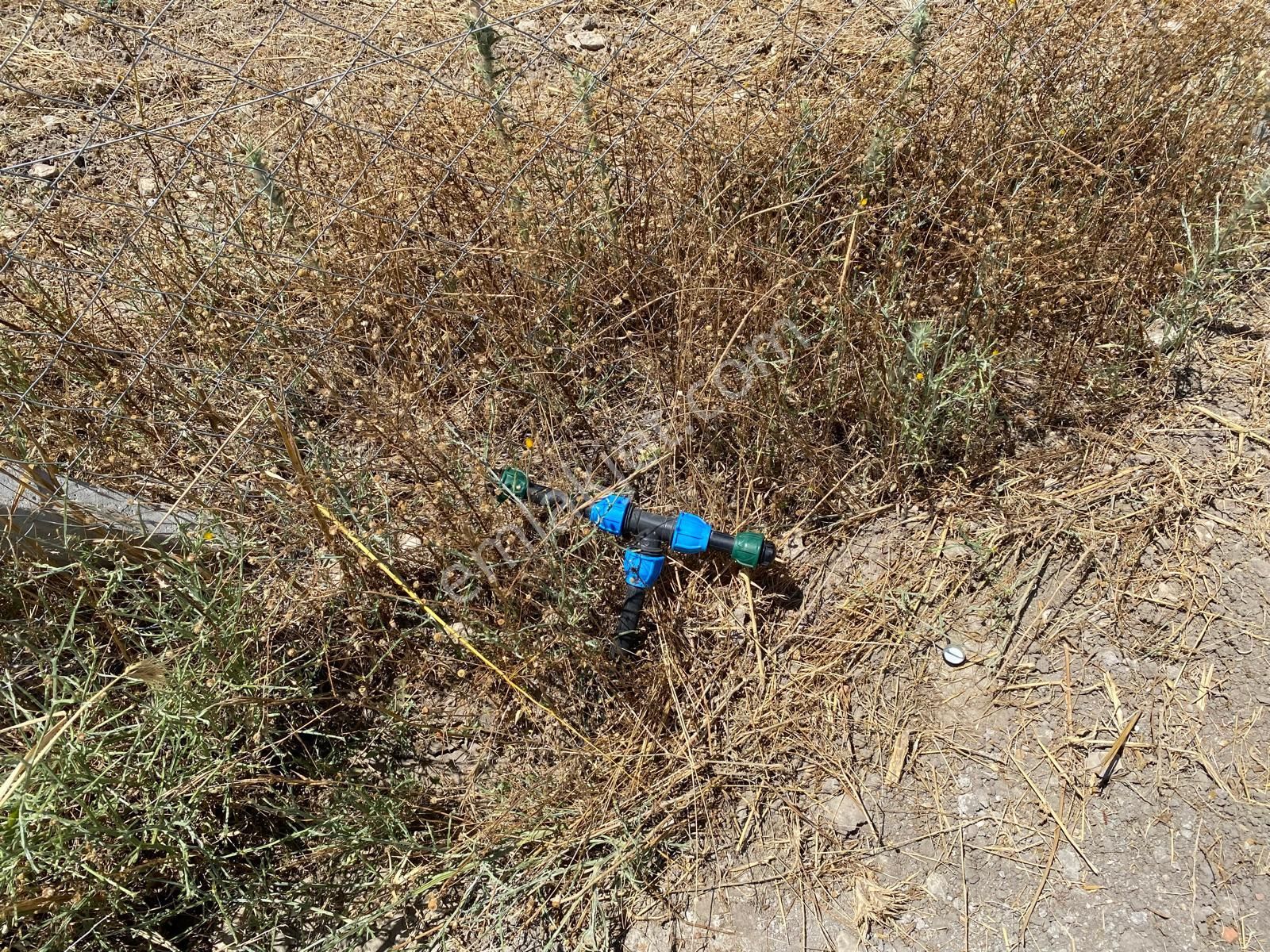 Değirmendere Köyünde Elektrik Ve Su Alt Yapısı Hazır 238 M2 Koperatiften Satılık Bahçe - Görsel 17