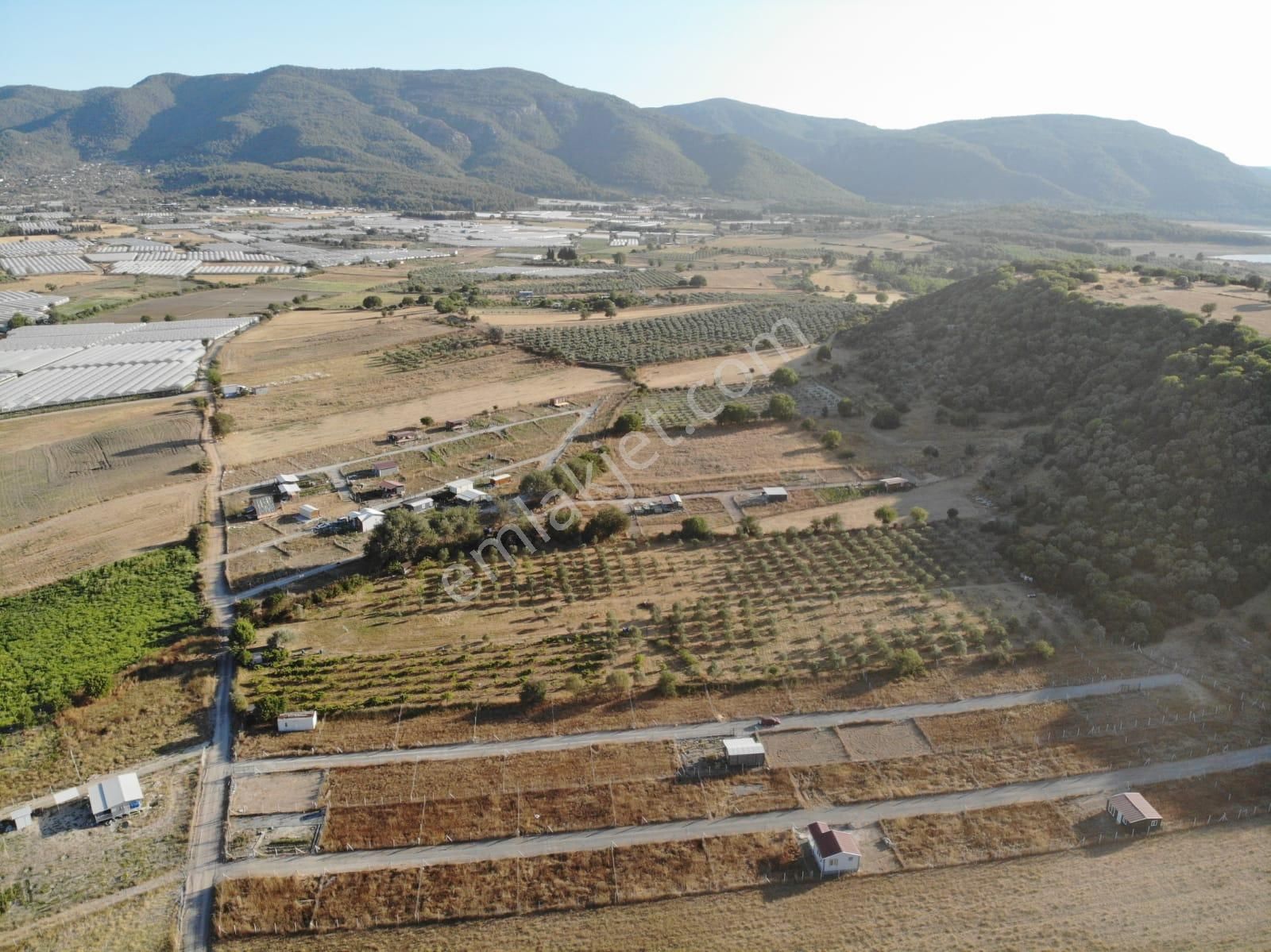 Değirmendere Köyünde Elektrik Ve Su Alt Yapısı Hazır 238 M2 Koperatiften Satılık Bahçe - Görsel 10