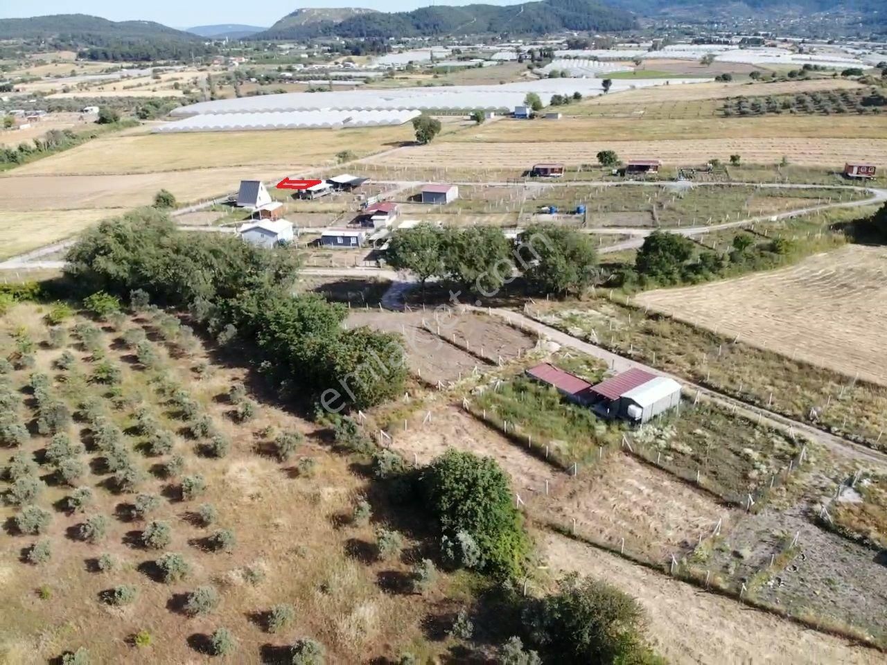 Değirmendere Köyünde Elektrik Ve Su Alt Yapısı Hazır 238 M2 Koperatiften Satılık Bahçe - Görsel 11