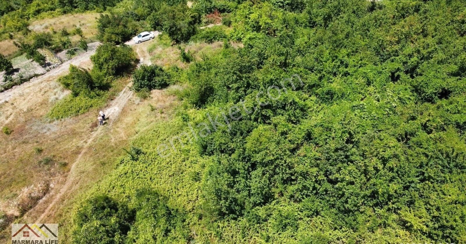 Marmara Life'den Geyve Dereköy 'de 182 M2 Kelepir Meyve Bahçesi