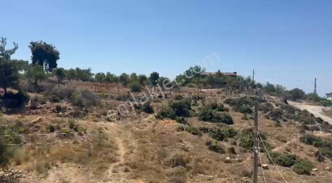 🏡 Mersin Toroslar Kaşlı Mahallesi’nde Komple Mülk Manzaralı Müstakil Ev Ve Kurulu Çiftlik Düzeni! - Görsel 4