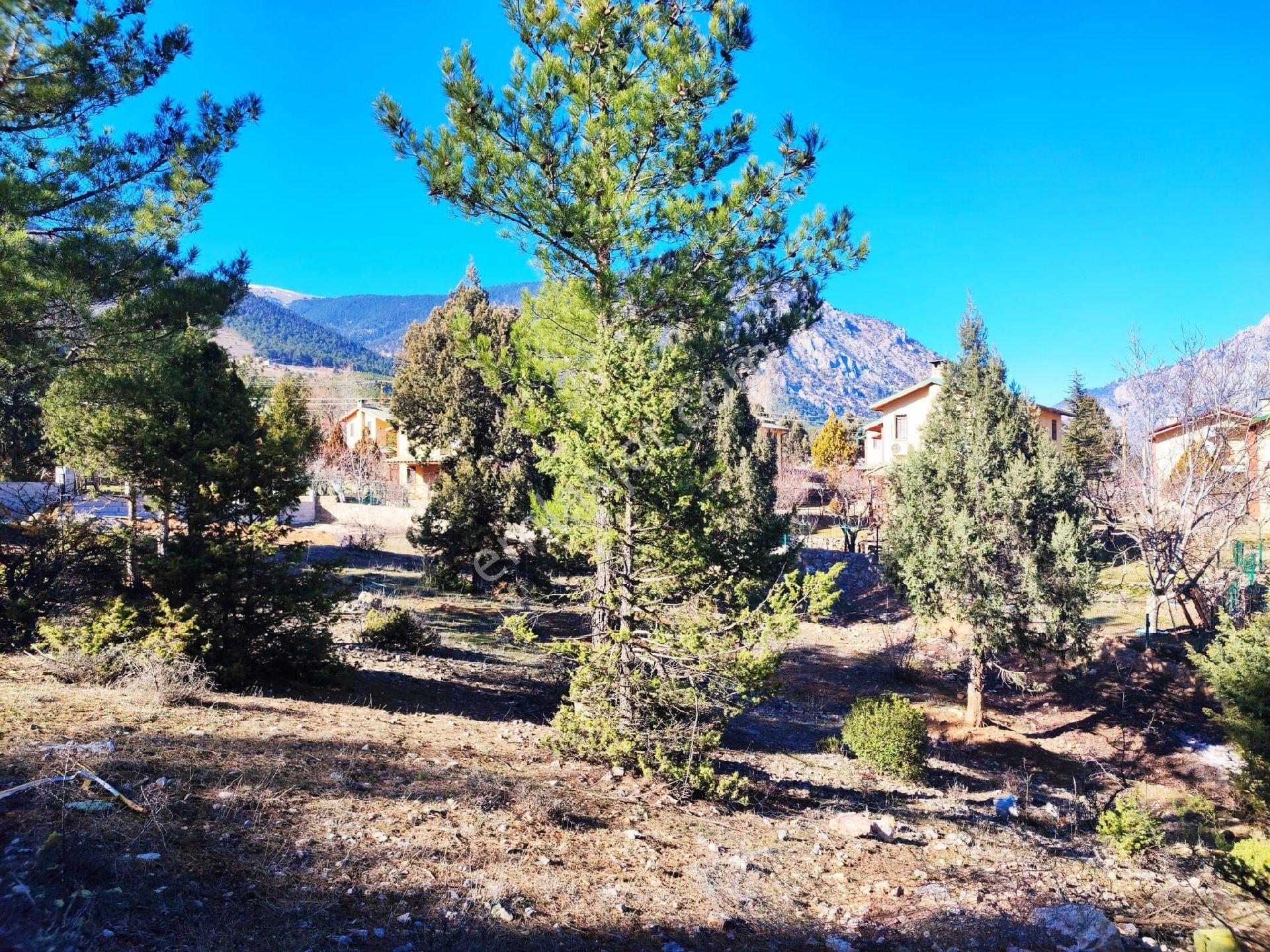 Pozantı Yeni Konacık Kırıntı Mevkiinde Satılık Arsa - Görsel 8