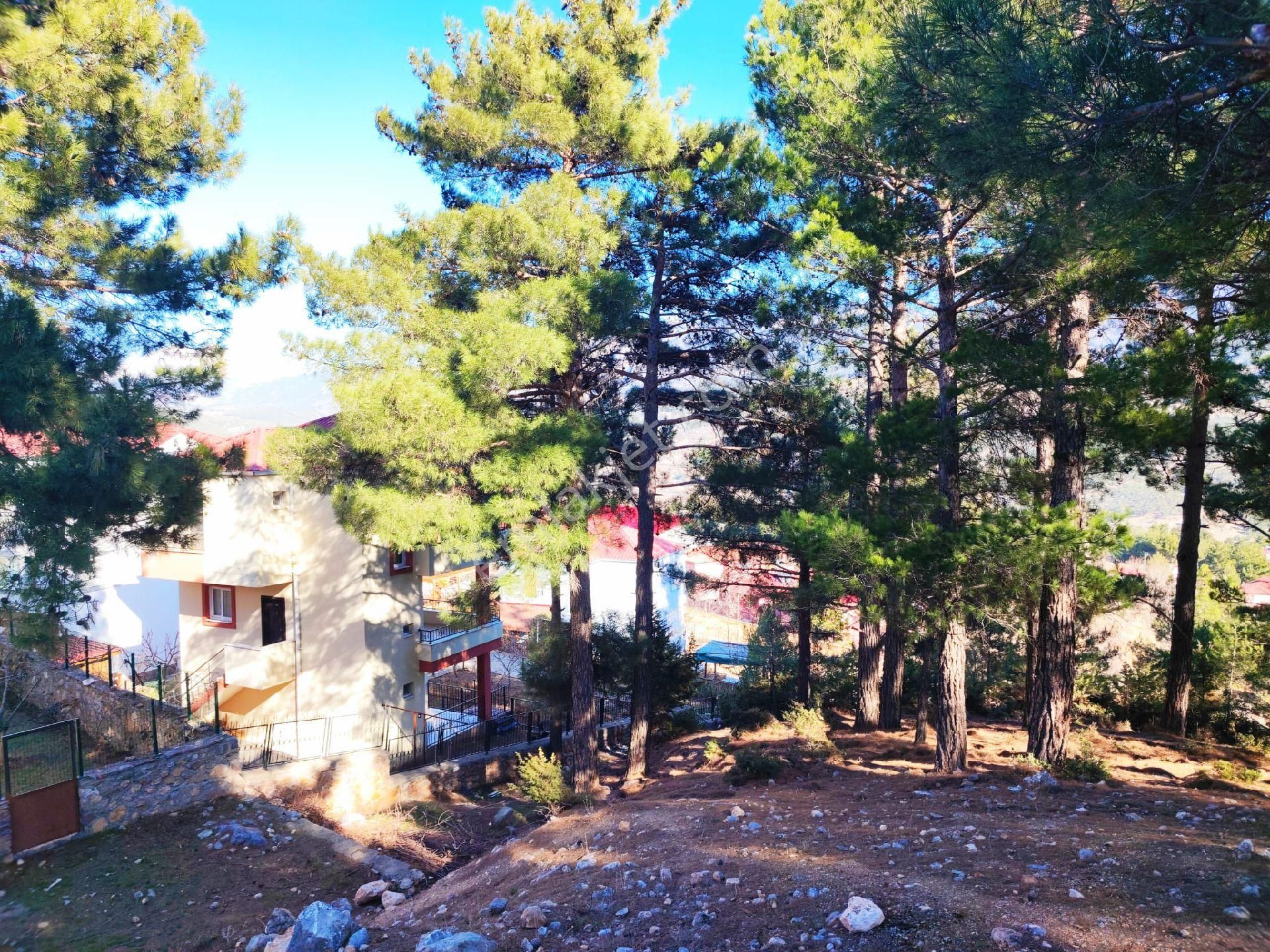 Pozantı Yeni Konacık Kırıntı Mevkiinde Satılık Arsa - Görsel 13