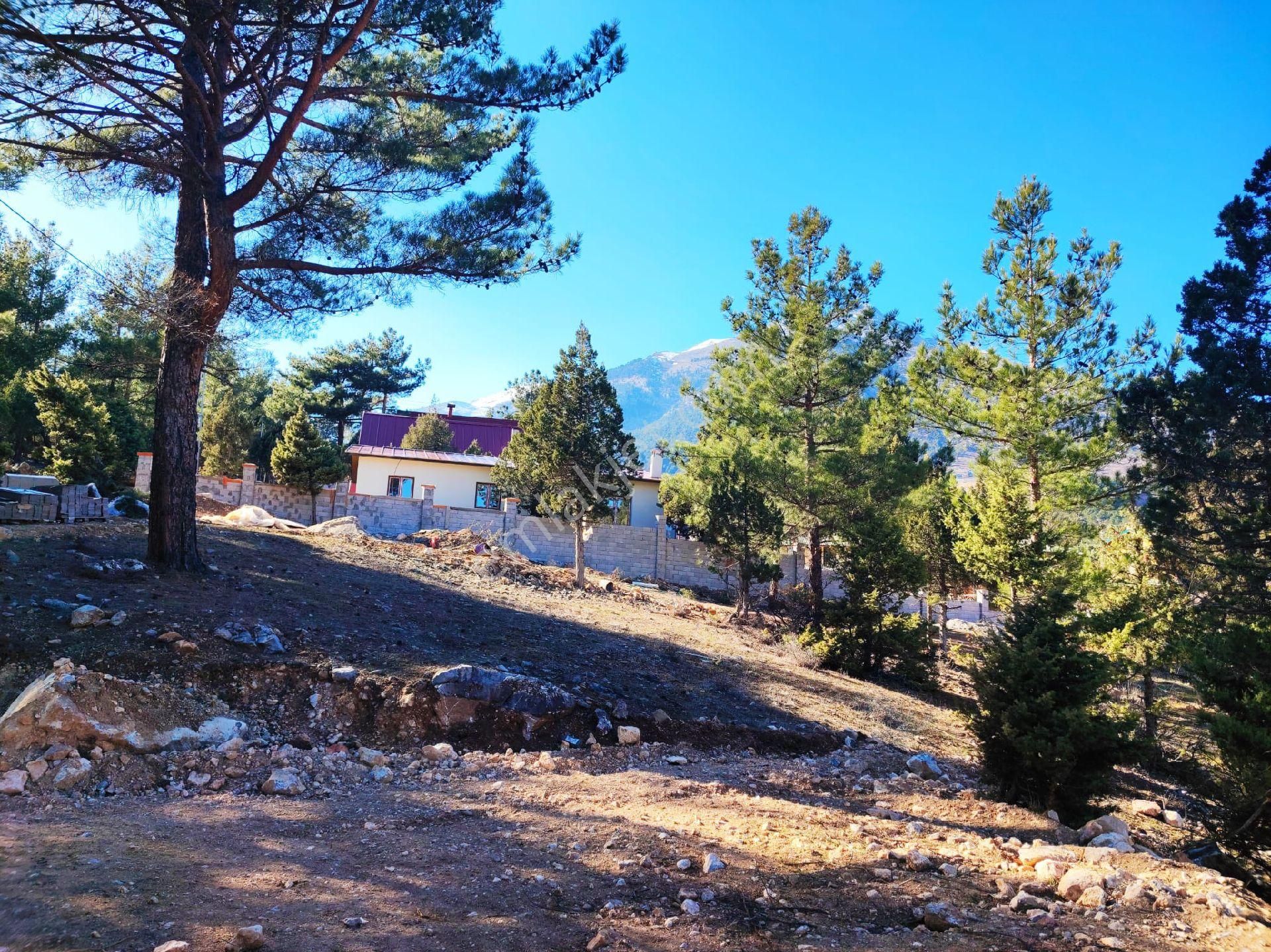 Pozantı Yeni Konacık Kırıntı Mevkiinde Satılık Arsa - Görsel 11