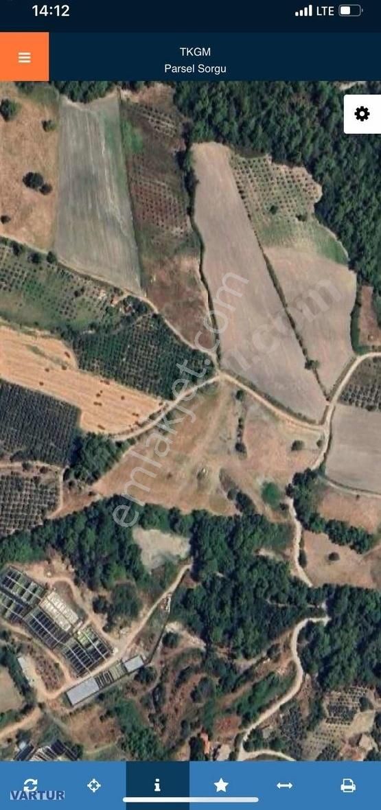 Fırsat 11.400 Mt2 Yaka Tlos Da Satılık Tarla - Görsel 5