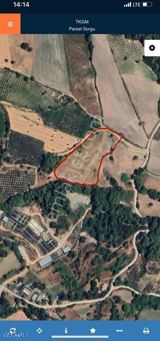 Fırsat 11.400 Mt2 Yaka Tlos Da Satılık Tarla