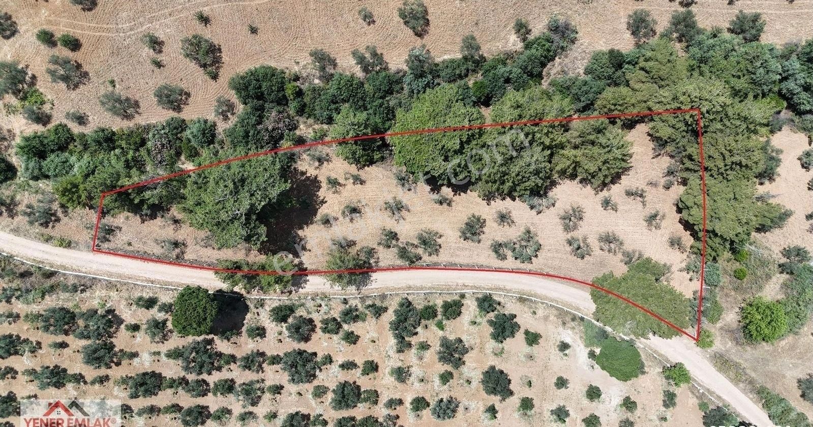 Çamcı'da Kadastral Yola 103mt Cepheli ▒ Kitap Gibi Fırsat Yer ▒ - Görsel 5