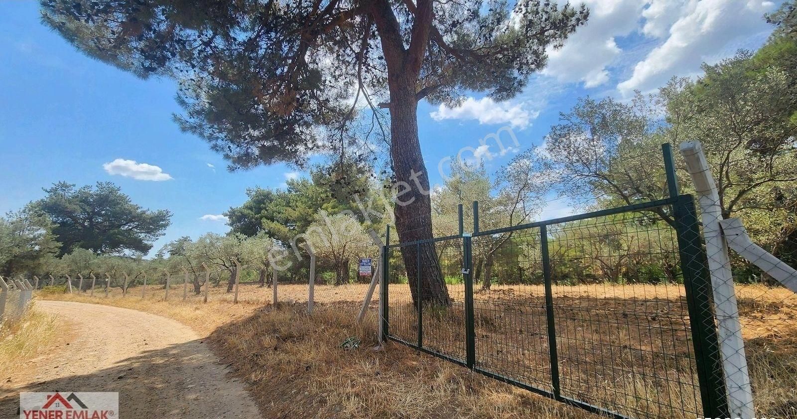 Çamcı'da Kadastral Yola 103mt Cepheli ▒ Kitap Gibi Fırsat Yer ▒ - Görsel 4