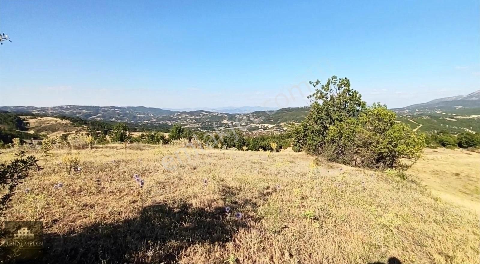 Kütahya Şaphanede 14505 M2 Kadastral Yolu Olan Yerlesıme Yakın