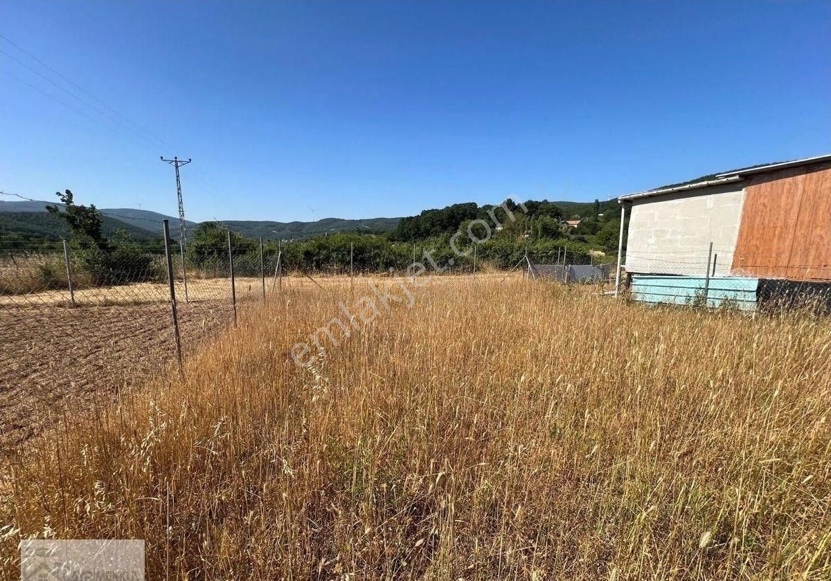 Gayrimenkul Dünayasın'dan. Haydarıye Köyün'de Satılık Arsa. - Görsel 7