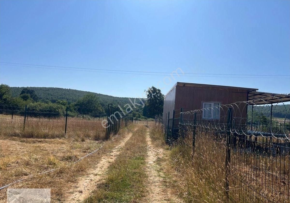 Gayrimenkul Dünayasın'dan. Haydarıye Köyün'de Satılık Arsa. - Görsel 5