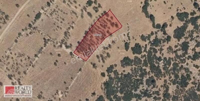 Atabey Harmanören'de 2.346 M2 Satılık Bağ